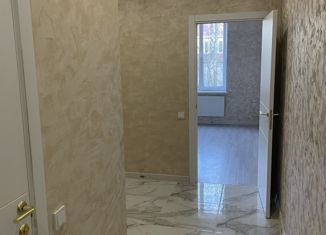 Продается однокомнатная квартира, 25 м2, посёлок Газопровод, 5-я улица Лесные Поляны, 29