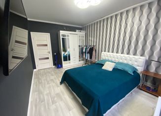 1-ком. квартира на продажу, 52.3 м2, село Надежда, Раздольная улица, 2В