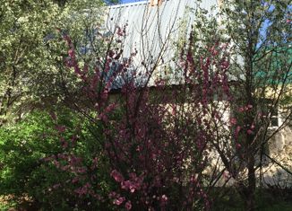 Дом на продажу, 40 м2, село Усть-Ивановка, улица Ленина, 142