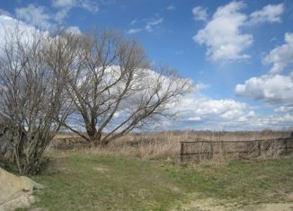 Продается земельный участок, 30 сот., село Панино, улица Горького