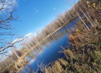 Продаю участок, 10 сот., село Осиновая Речка, Бархатная улица