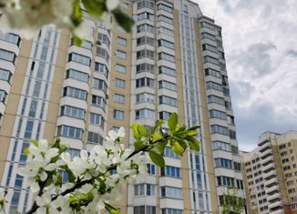 Продаю 5-ком. квартиру, 111.6 м2, Москва, улица Недорубова, 21, район Некрасовка