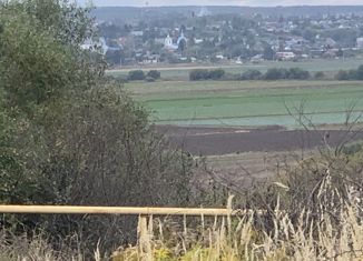 Продам дом, 72 м2, село Маслово, село Маслово, 44