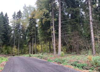 Земельный участок на продажу, 10.12 сот., деревня Шадрино