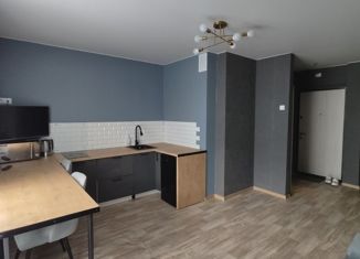 Квартира на продажу студия, 26 м2, посёлок Западный, улица Дружбы, 1