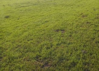 Земельный участок на продажу, 50 сот., деревня Перхурово