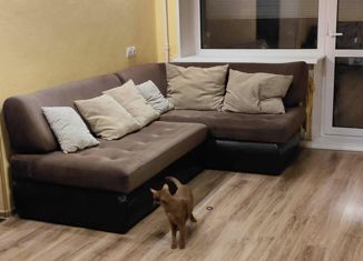 Продается 2-ком. квартира, 42 м2, Нижний Новгород, проспект Гагарина, 20, метро Горьковская