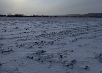Участок на продажу, 6600 сот., село Егорьевка