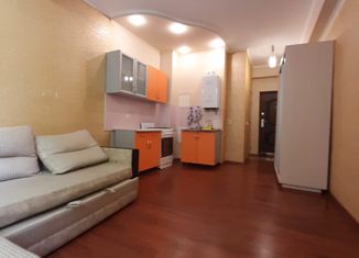 Продается квартира студия, 24 м2, село Краевско-Армянское, Измайловская улица, 41