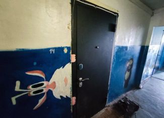 Продаю 1-ком. квартиру, 42.8 м2, село Чернолесовский, улица Мира, 10