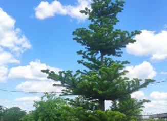 Продажа дома, 30 м2, СНТ Заречный, 5-я улица