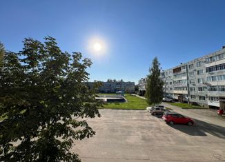 Продажа 2-ком. квартиры, 53 м2, деревня Полоное, улица Аудрини, 18