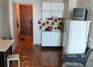 Квартира в аренду студия, 23 м2, Красноярск, улица Вильского, 28