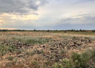 Продам участок, 25 сот., хутор Прыщевка, Центральная улица