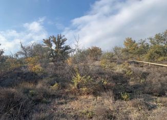 Земельный участок на продажу, 50 сот., поселок городского типа Отрадное, Отрадная улица, 25А