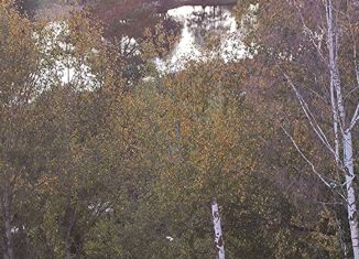 Продается однокомнатная квартира, 28.4 м2, Саров, улица Бессарабенко, 15