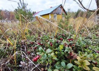 Дом на продажу, 40 м2, деревня Другая Река, Сосновая улица, 2А