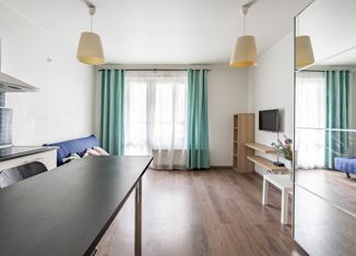Квартира на продажу студия, 26.9 м2, Санкт-Петербург, улица Красуцкого, 3М, улица Красуцкого