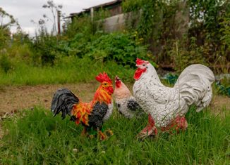 Продается дом, 62 м2, поселок Молодёжный, посёлок Молодёжный, 2