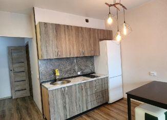 Сдам квартиру студию, 30 м2, Краснодар, улица Гидростроителей, 62к2, улица Гидростроителей