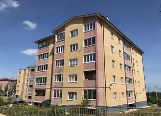 Однокомнатная квартира на продажу, 48 м2, деревня Киселёвка, Никольская улица, 2А