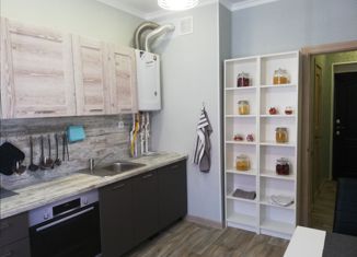 Двухкомнатная квартира на продажу, 64 м2, село Нежинка, Фестивальная улица, 27/1