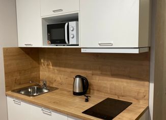 Продажа однокомнатной квартиры, 22.1 м2, посёлок Парголово, Толубеевский проезд, 8к2