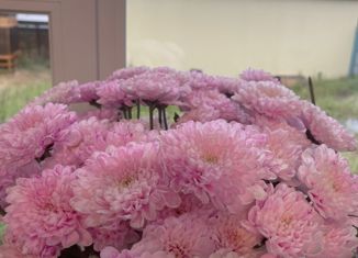 Однокомнатная квартира на продажу, 31 м2, посёлок Солнечный, улица Строителей, 3Б