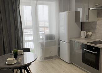 Сдам 1-комнатную квартиру, 35.5 м2, поселок городского типа Стройкерамика, улица Анетты Басс, 4с3