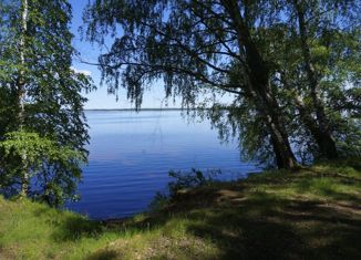 Продажа земельного участка, 50 сот., деревня Новое, 78Н-0862