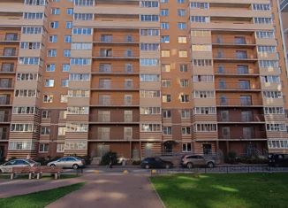 Продам квартиру студию, 26.5 м2, городской посёлок Янино-1, Голландская улица, 6, ЖК Новое Янино