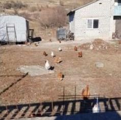 Продается дом, 97 м2, Карачаево-Черкесия, Пятигорское шоссе, 30