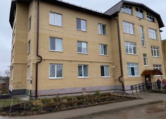 Продается двухкомнатная квартира, 65.5 м2, село Култаево, Снежная улица, 14