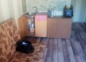 Продажа 1-комнатной квартиры, 17.2 м2, Бийск, переулок Владимира Мартьянова, 39