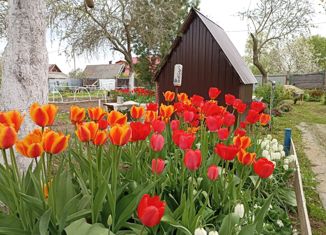 Продам участок, 12.79 сот., садоводческое некоммерческое товарищество Дружба, Паевая улица