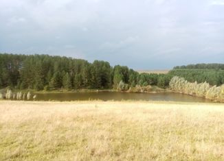 Продаю земельный участок, 15.6 сот., село Большой Букор, Луговая улица, 51