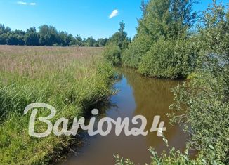 Продажа земельного участка, 24 сот., сельское поселение Совьяки