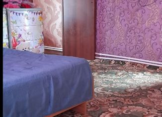 Продается дом, 30 м2, Новоалтайск, Некрасовская улица, 35