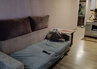 Продается квартира студия, 27 м2, Новоалтайск, Партизанская улица, 7