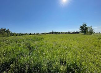 Продам земельный участок, 10 сот., деревня Борисовское