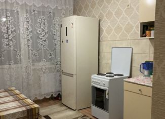 Продажа однокомнатной квартиры, 33 м2, поселок городского типа Емельяново, Новая улица, 16