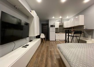 Аренда квартиры студии, 27 м2, Санкт-Петербург, улица Михаила Дудина, 10, улица Михаила Дудина