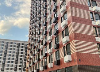 Продам квартиру студию, 19.4 м2, Москва, Салтыковская улица, 6/1к7, Салтыковская улица