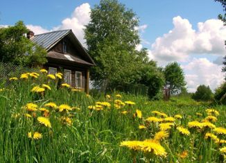 Продам дом, 65 м2, деревня Шимшурга, Шимшургинская улица