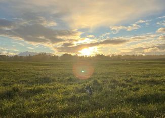 Продаю земельный участок, 8.97 сот., деревня Велигонты, Центральная улица