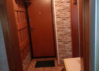 Продажа 1-ком. квартиры, 25.1 м2, посёлок городского типа Сернур, улица Микрорайон, 52