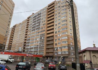 Продам квартиру студию, 23.7 м2, Никольское, Октябрьская улица, 16, ЖК Прибрежный