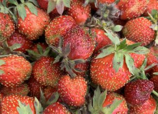 Продажа участка, 8 сот., СНТ Вишневое