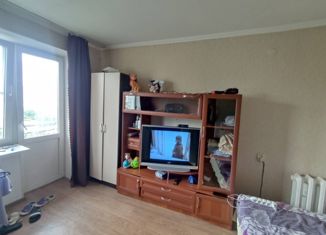 Продажа 1-комнатной квартиры, 22.9 м2, Краснодарский край, улица Куникова, 50А