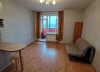 Продается квартира студия, 26.1 м2, Мурино, ЖК Тридевяткино Царство, улица Шоссе в Лаврики, 85